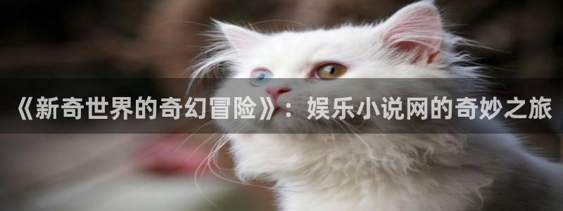 万向娱乐注册登录：《新奇世界的奇幻冒险》：娱乐小说网的奇妙之旅