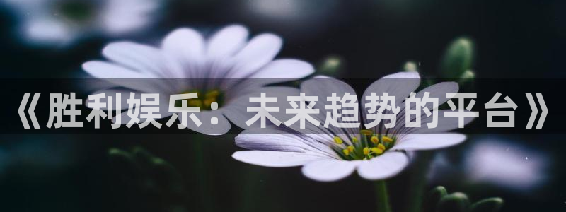 万向娱乐注册：《胜利娱乐：未来趋势的平台》
