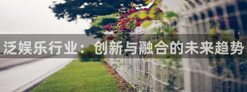 万向娱乐注册登录：泛娱乐行业：创新与融合的未来趋势