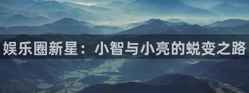 万向娱乐app：娱乐圈新星：小智与小亮的蜕变之路