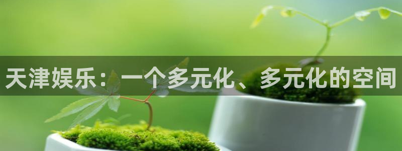 万向娱乐app：天津娱乐：一个多元化、多元化的空间